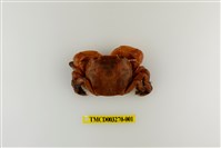 藏品(字纹弓蟹)的圖片